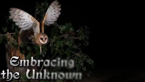 What Does the Mysterious Owl Actually Mean in Native American Culture?